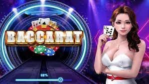 games247 ও অন্যান্য প্ল্যাটফর্মের তুলনামূলক বিশ্লেষণ চিত্র